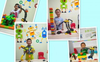 乐高生活与科技教案 幼儿园科学机器人教案