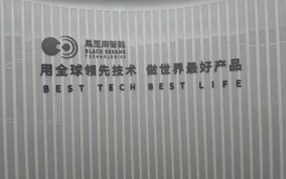 芝麻黑科技 在武汉，看见“芝麻开门”的黑科技