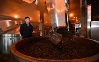 高科技发酵 点“糟”成金，智能发酵可让酒糟价值飙升到750元吨！