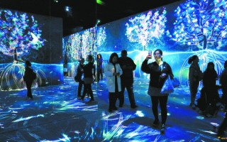 世园会 科技 刷脸进园，机器人泡咖啡……这届世园会科技含量“爆表”